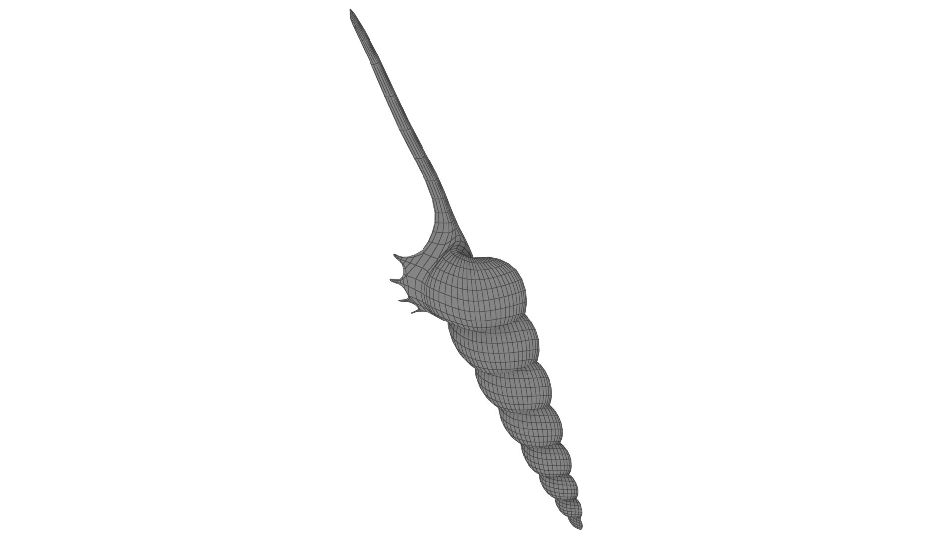 Cartoon Sea Shell 02 model https://p.turbosquid.com/ts-thumb/OG/nIH3zW/WK/1_view07/jpg/1687785461/1920x1080/fit_q87/90023f5ec6285b9e9f057c81b6f2f0b1e4e3fcd3/1_view07.jpg