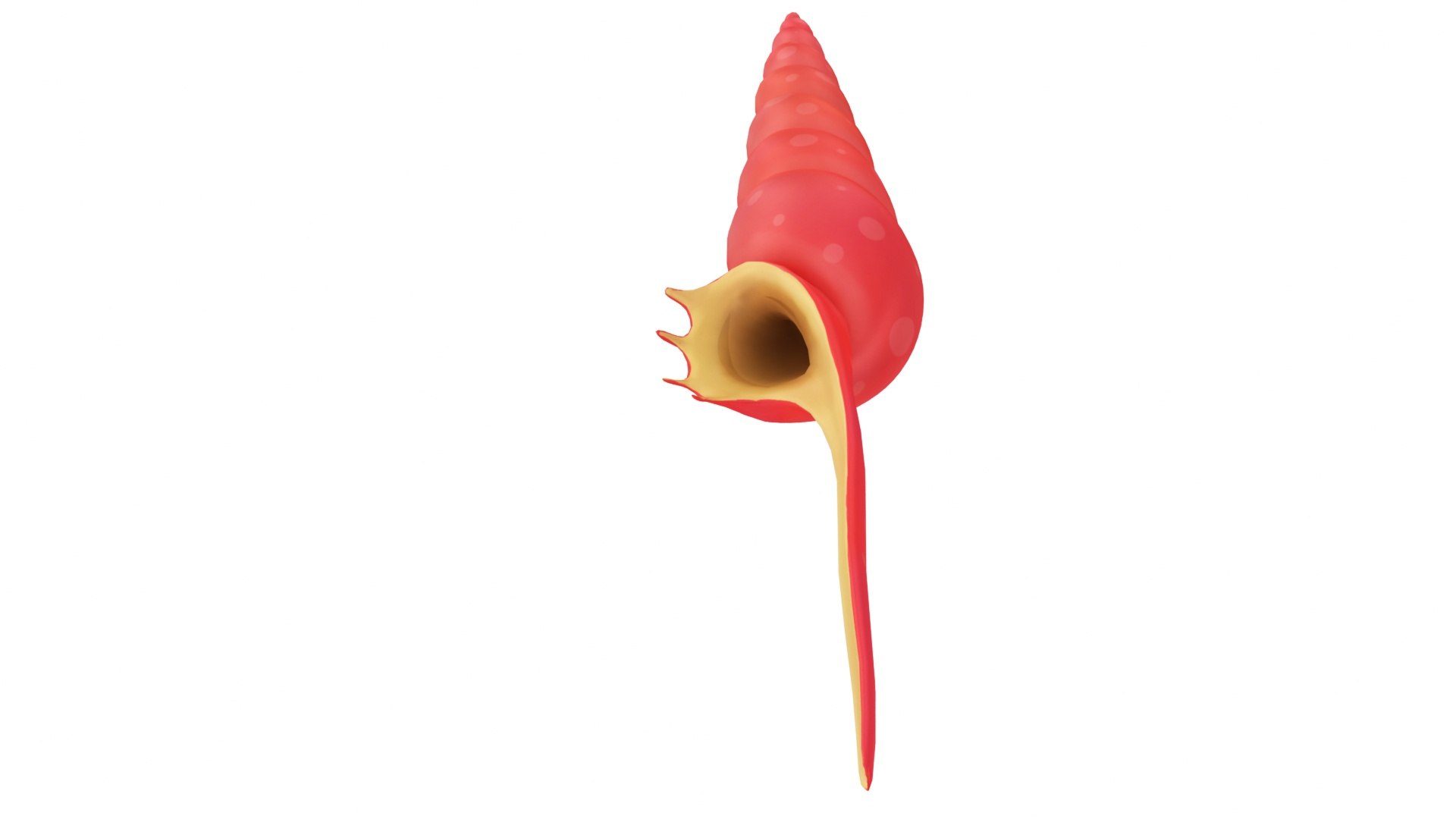 Cartoon Sea Shell 02 model https://p.turbosquid.com/ts-thumb/OG/nIH3zW/YT/cartoonseashell026/jpg/1687785454/1920x1080/fit_q87/7bf8e17aa3f7890e6a52232683abee5256484e34/cartoonseashell026.jpg