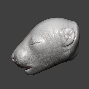 3D Rat Baby Newborn Head Highpoly Sculpt