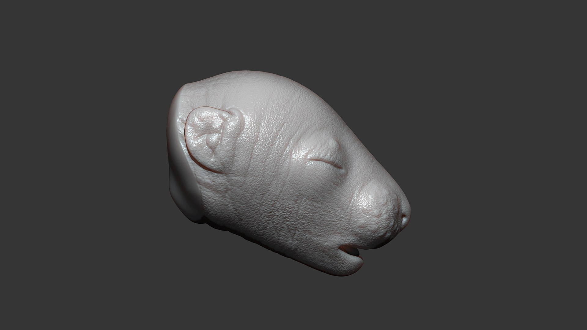 3D Rat Baby Newborn Head Highpoly Sculpt https://p.turbosquid.com/ts-thumb/OG/sANv3e/aS/rat_baby_head_01/jpg/1636726404/1920x1080/fit_q87/fd0350a1cd340550af844a7f6c101b26f21585b7/rat_baby_head_01.jpg