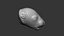 Scultura Highpoly testa neonato ratto