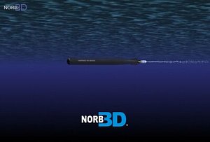 3d torpedo tigerfish model