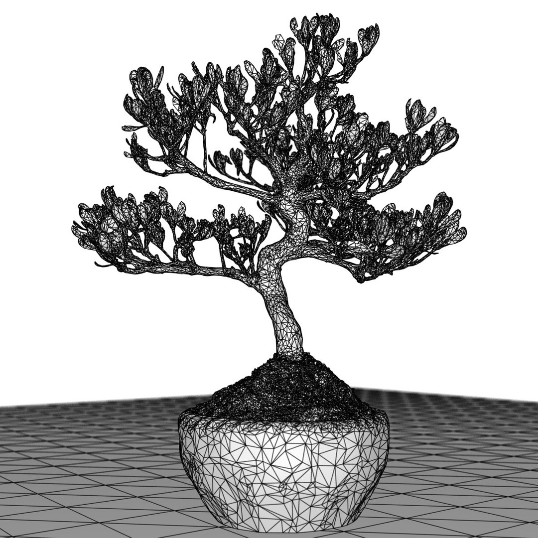 3D Bonsai Tree - TurboSquid 1154320