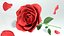 rote Rose