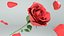 rote Rose