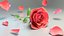 rote Rose