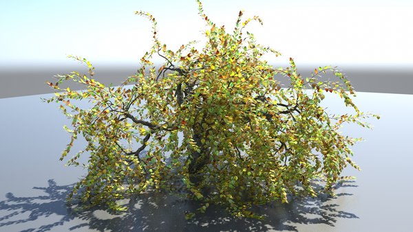 modelo 3d modelo de arbol - TurboSquid 2351708
