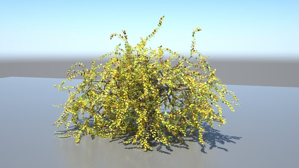 modelo 3d modelo de arbol - TurboSquid 2351708