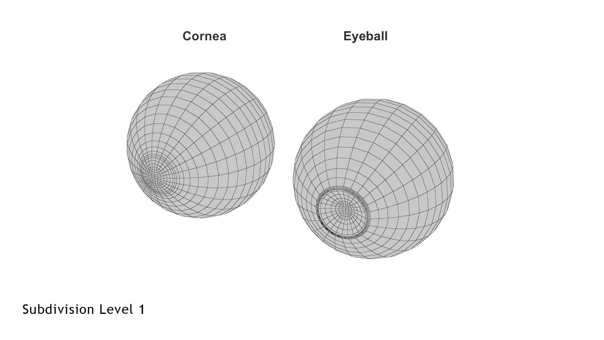 Eye Rigged - Model - TurboSquid 1497979