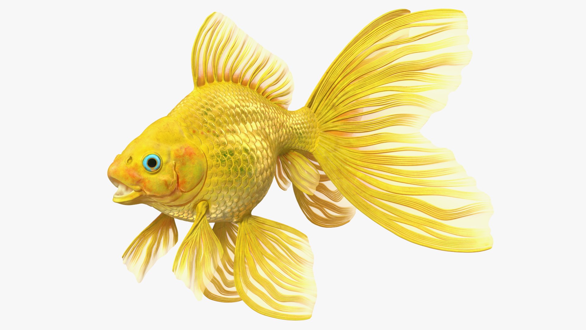 Goldfish 3D model preview