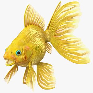 Goldfish 3D