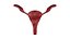 Modelo 3D do sistema reprodutivo feminino