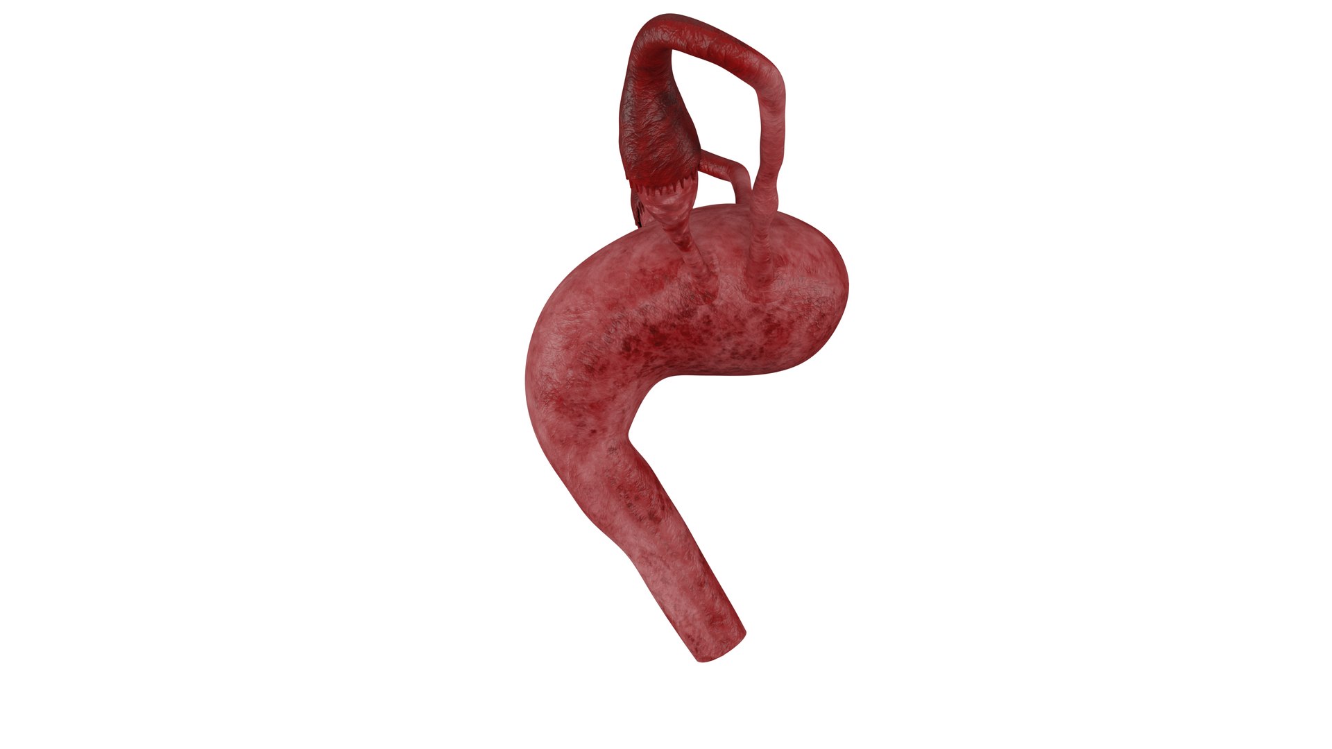 3D Female Reproductive System 3D Model https://p.turbosquid.com/ts-thumb/OH/eyZNkA/My/3_1/png/1713017909/1920x1080/fit_q87/28063eb803b6eb211ade798fd4585ab098575bb8/3_1.jpg