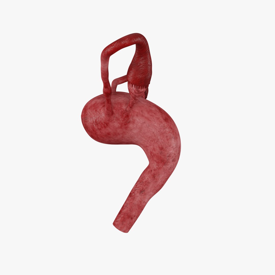 3D Female Reproductive System 3D Model https://p.turbosquid.com/ts-thumb/OH/eyZNkA/NP/17/png/1713017858/1920x1080/fit_q87/683116efac5ae3f96ae5425ab05c5a6299d35d35/17.jpg