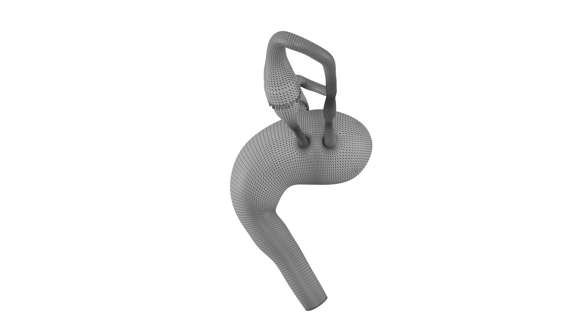 3D Female Reproductive System 3D Model https://p.turbosquid.com/ts-thumb/OH/eyZNkA/et/11/png/1713018105/1920x1080/fit_q87/9a1e147fac00481bc95ea1e2276834dad87bb562/11.jpg