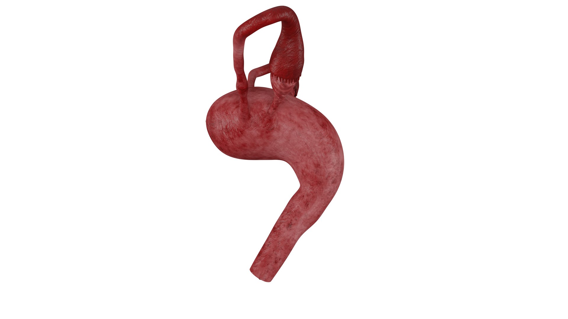 3D Female Reproductive System 3D Model https://p.turbosquid.com/ts-thumb/OH/eyZNkA/sx/4_1/png/1713017910/1920x1080/fit_q87/3f814a6653b3134ded59e78de2cabf5130a884b3/4_1.jpg