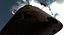 reentry apollo command module 3d model