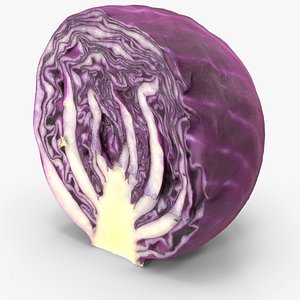 Half Of Red Cabbage 3D model