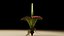 Fiore cadavere Amorphophallus titanium