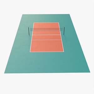 PBR Volleyball Court Floor and Net