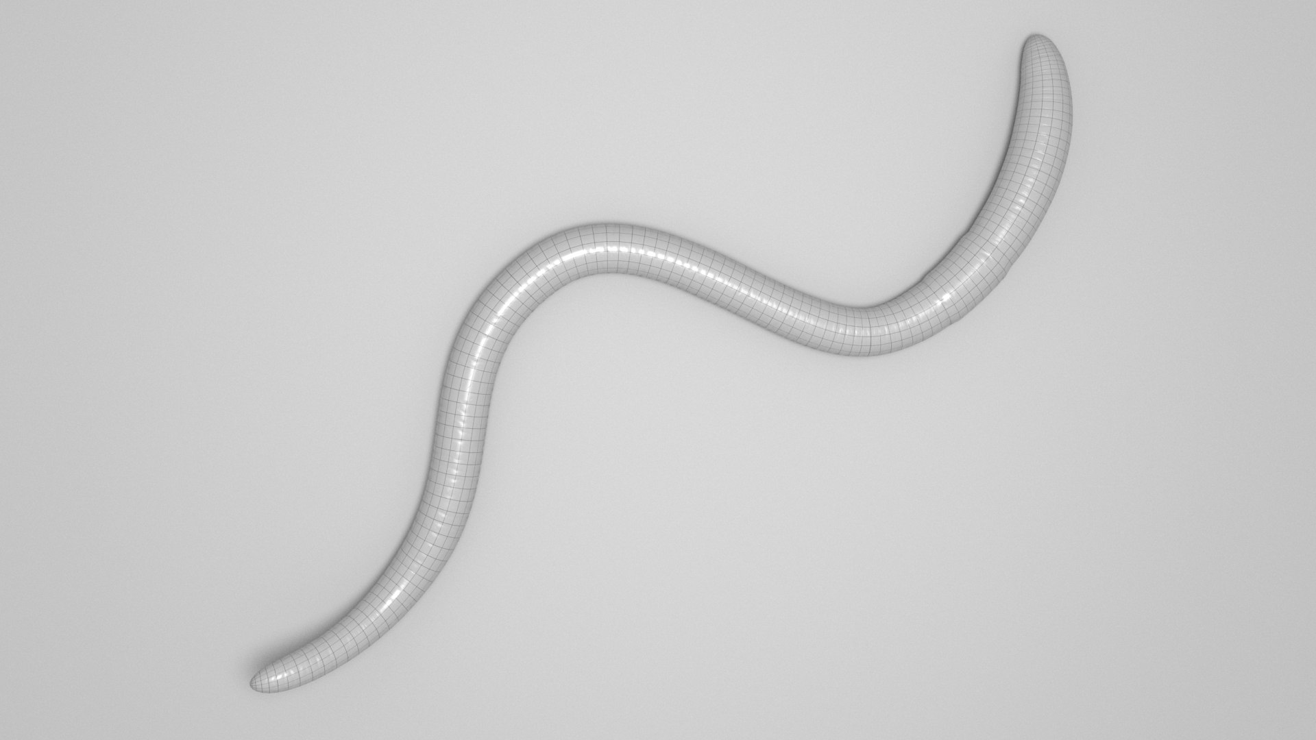 Tigerworm 3D - TurboSquid 1986373