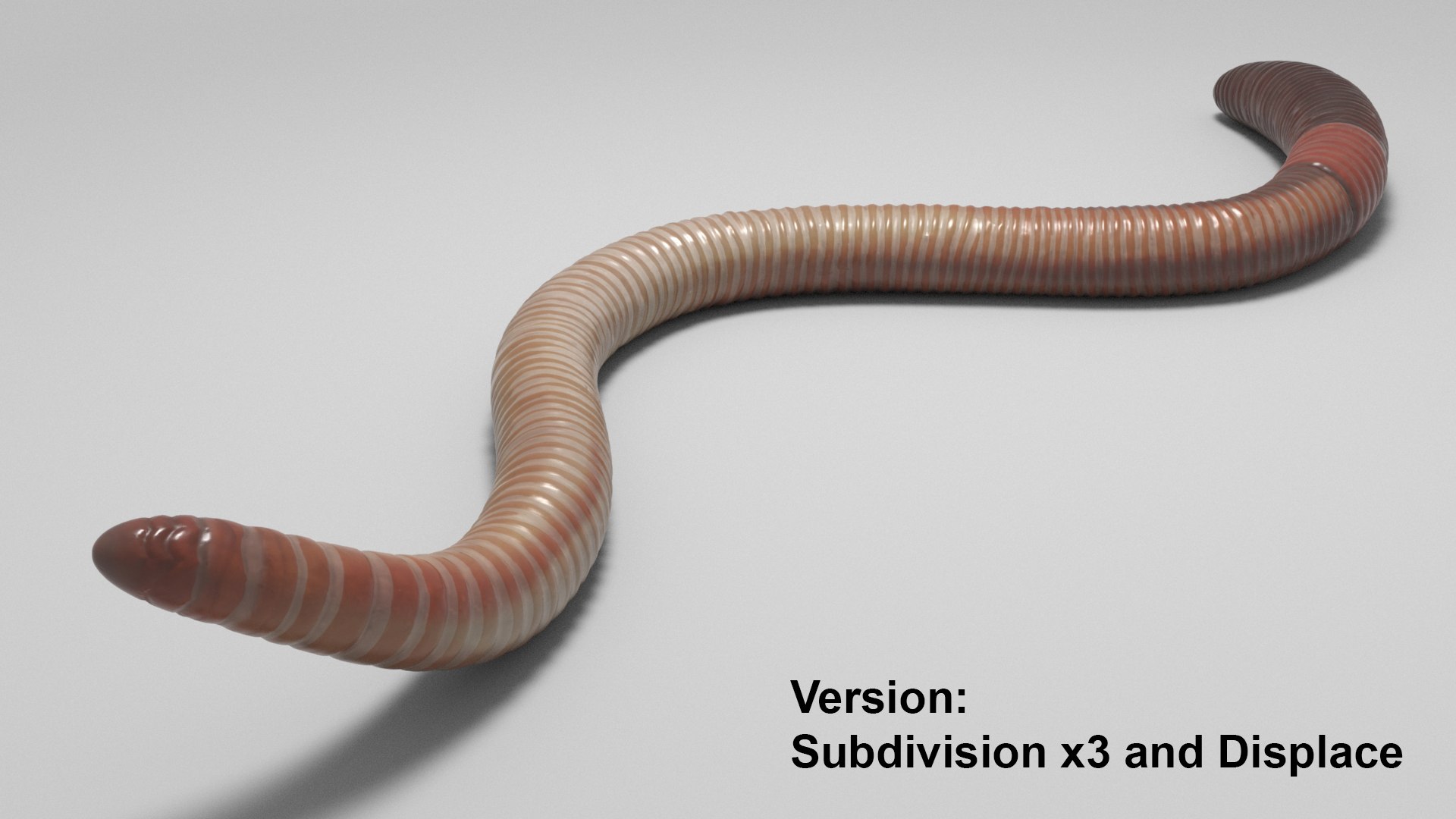Tigerworm 3D - TurboSquid 1986373