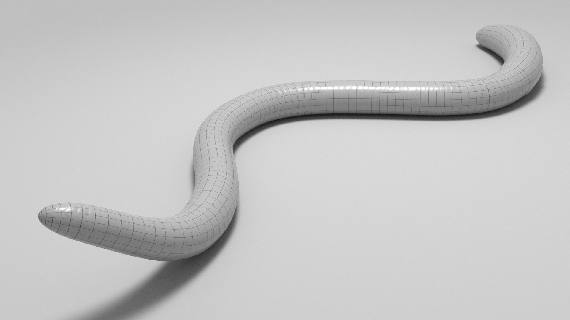 Tigerworm 3D - TurboSquid 1986373