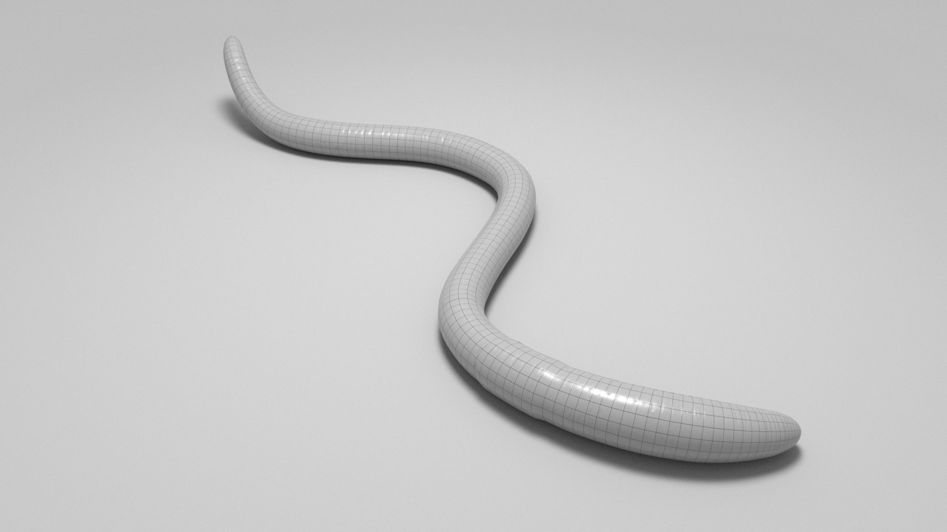 Tigerworm 3D - TurboSquid 1986373