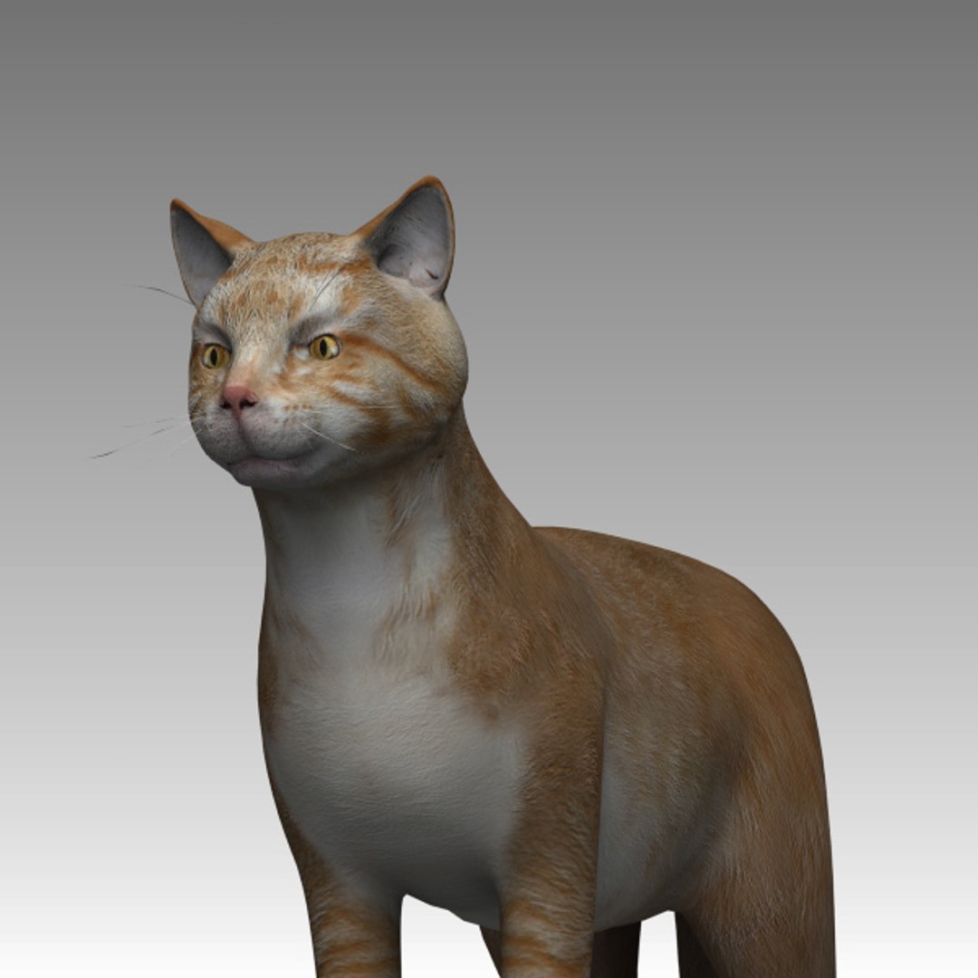 3D model red-headed cat - TurboSquid 1214848