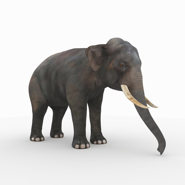 photorealistic elephant 2 3D