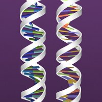 DNA