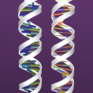 DNA