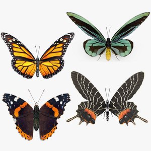 Rigged Butterflies Collection 3 for Maya 3D model