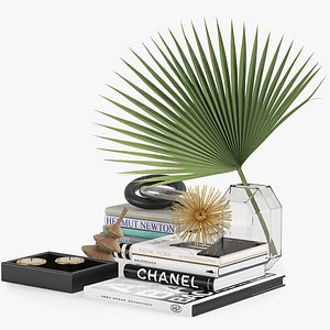 coffee table books 3D model