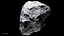 Asteroids BUNDLE