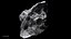 Asteroids BUNDLE