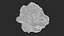 Asteroids BUNDLE