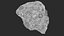 Asteroids BUNDLE