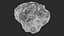 Asteroids BUNDLE