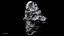 Asteroids BUNDLE