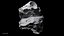 Asteroids BUNDLE