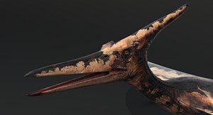 3d pteranodon zbrush model