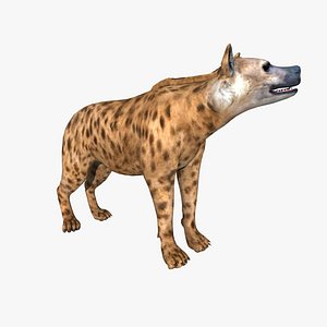 Hyena (RIGGED)