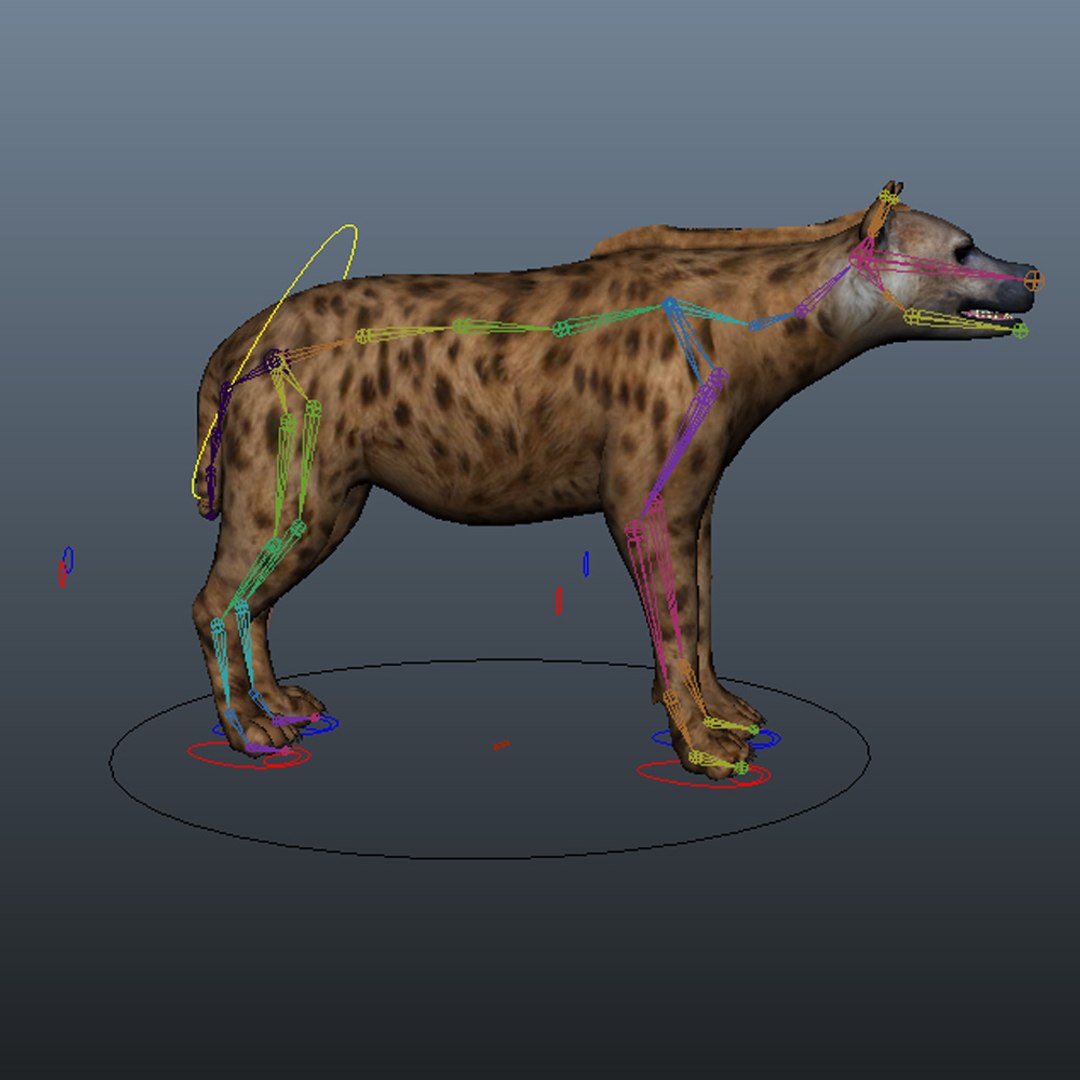 Maya Rigged Animation