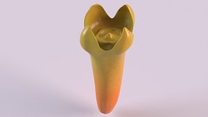 3D Spice clove bud