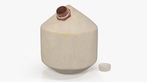 Young Shelled Tapped Coconut