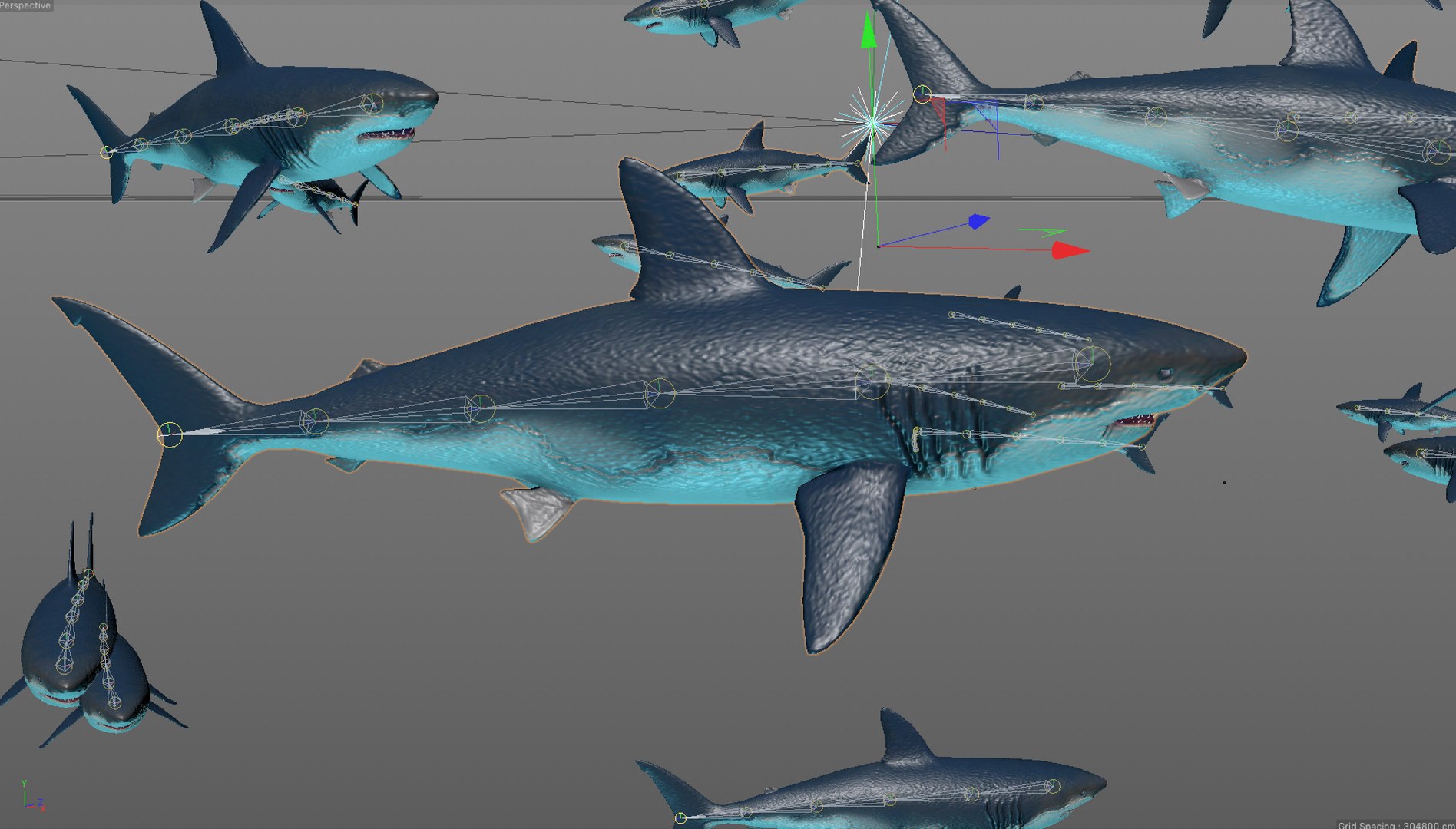 School Sharks Rigged Animation 3D Model - TurboSquid 1327064