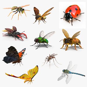 Flying Insects Rigged Collection 5