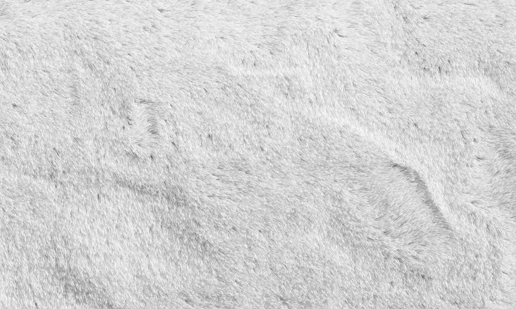 nuLoom Shaggy Area Rug 4 colors 3D model https://p.turbosquid.com/ts-thumb/OJ/3062jp/J5/5/jpg/1686154266/1920x1080/fit_q87/7734105533d8f2959caf8a36971367bb5f3c0055/5.jpg