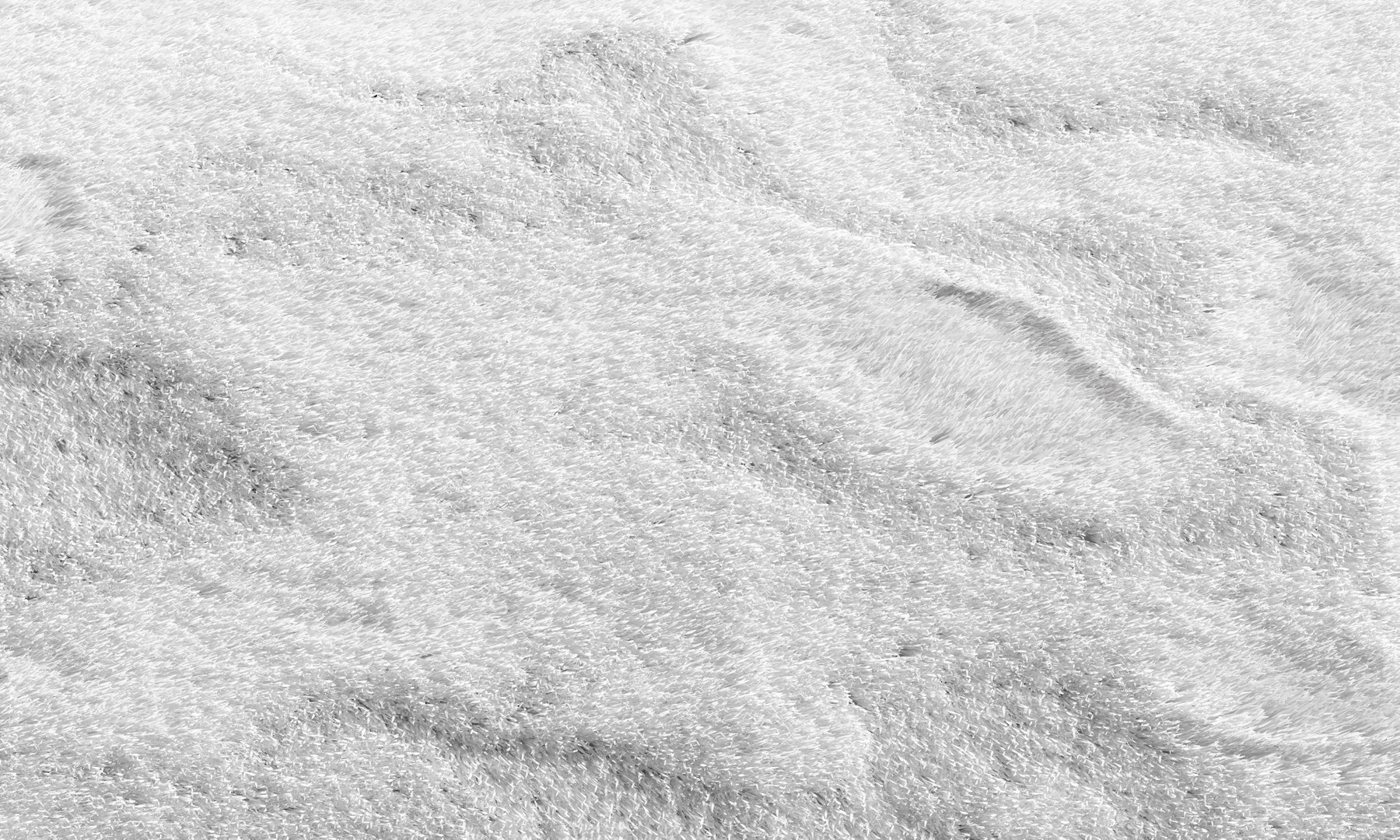 nuLoom Shaggy Area Rug 4 colors 3D model https://p.turbosquid.com/ts-thumb/OJ/3062jp/ff/3/jpg/1686154262/1920x1080/fit_q87/49fef53dd002e154fd104e2bc72a8708ab03d4ec/3.jpg